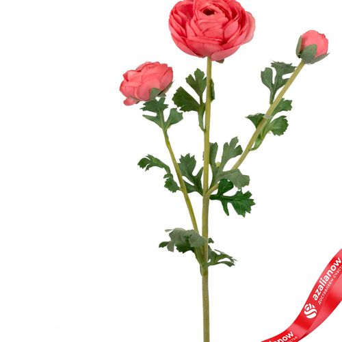 Фото 2: Ранункулюс искусственный (пластик), 73см, розовый