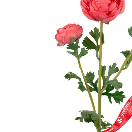 Фото 4: Ранункулюс искусственный (пластик), 73см, розовый