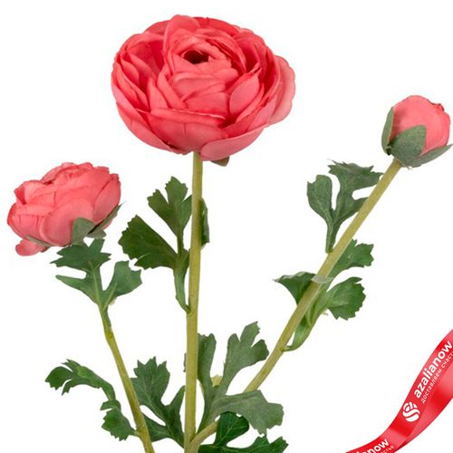 Фото 5: Ранункулюс искусственный (пластик), 73см, розовый