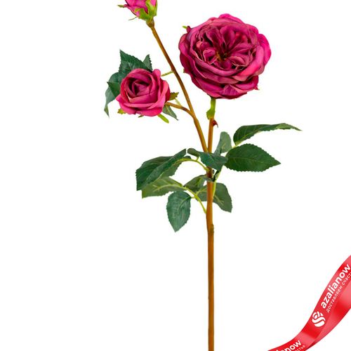 Фото 2: Роза искусственная (пластик), 58см, ярко-розовый