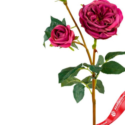 Фото 4: Роза искусственная (пластик), 58см, ярко-розовый