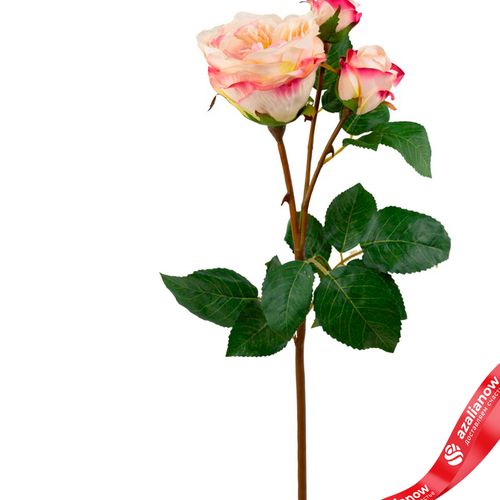 Фото 2: Роза искусственная (пластик), 58см, светло-розовый