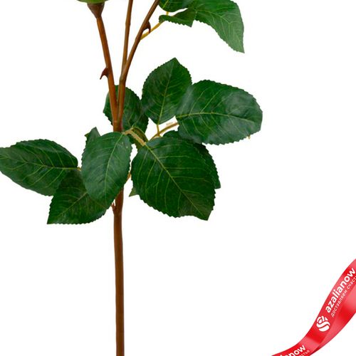 Фото 3: Роза искусственная (пластик), 58см, светло-розовый