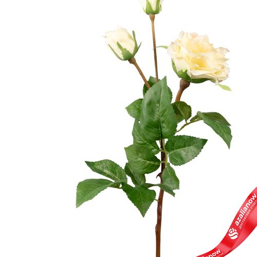 Фото 2: Роза искусственная (пластик), 59см, белый