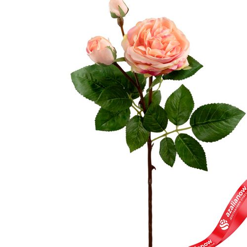 Фото 2: Роза искусственная (пластик), 59см, светло-розовый