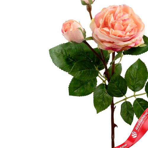 Фото 4: Роза искусственная (пластик), 59см, светло-розовый