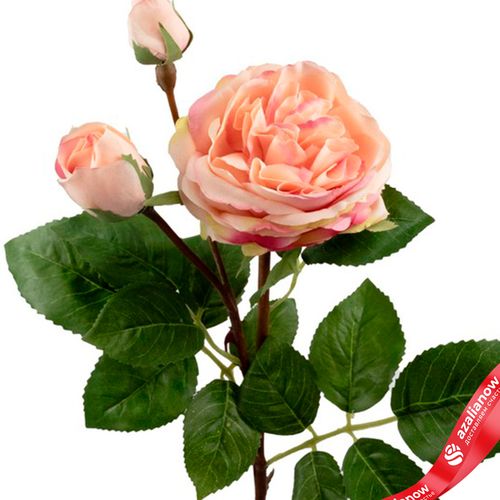 Фото 5: Роза искусственная (пластик), 59см, светло-розовый