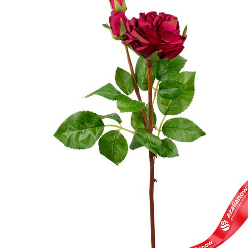 Фото 2: Роза искусственная (пластик), 59см, темно-розовый