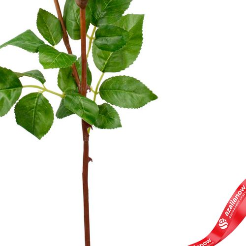 Фото 3: Роза искусственная (пластик), 59см, темно-розовый