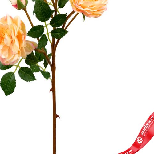 Фото 3: Роза кустовая искусственная (пластик), 54см, светло-розовый