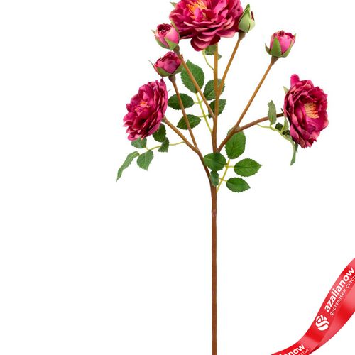 Фото 2: Роза кустовая искусственная (пластик), 54см, темно-розовый