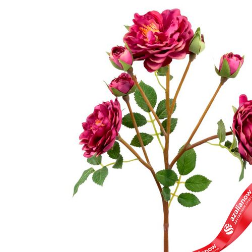 Фото 4: Роза кустовая искусственная (пластик), 54см, темно-розовый