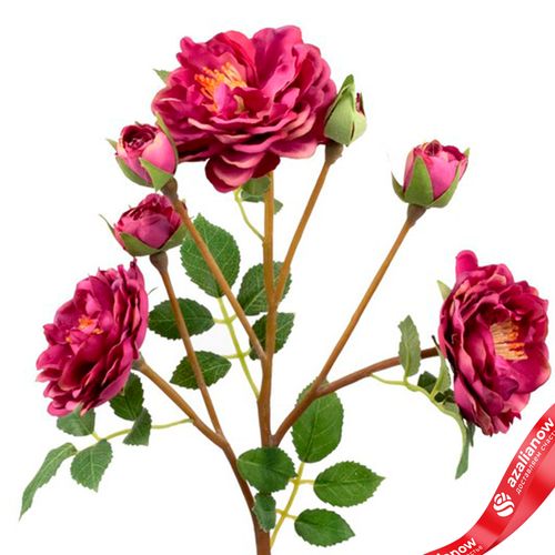 Фото 5: Роза кустовая искусственная (пластик), 54см, темно-розовый