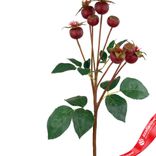 Маленькое фото 2: Шиповник искусственный (пластик), 56см, бордовый