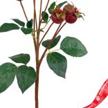 Маленькое фото 3: Шиповник искусственный (пластик), 56см, бордовый