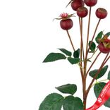 Маленькое фото 4: Шиповник искусственный (пластик), 56см, бордовый