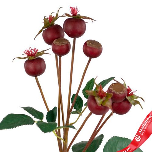 Фото 5: Шиповник искусственный (пластик), 56см, бордовый