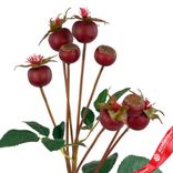 Маленькое фото 5: Шиповник искусственный (пластик), 56см, бордовый