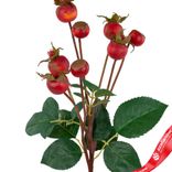 Маленькое фото 4: Шиповник искусственный (пластик), 56см, темно-оранжевый