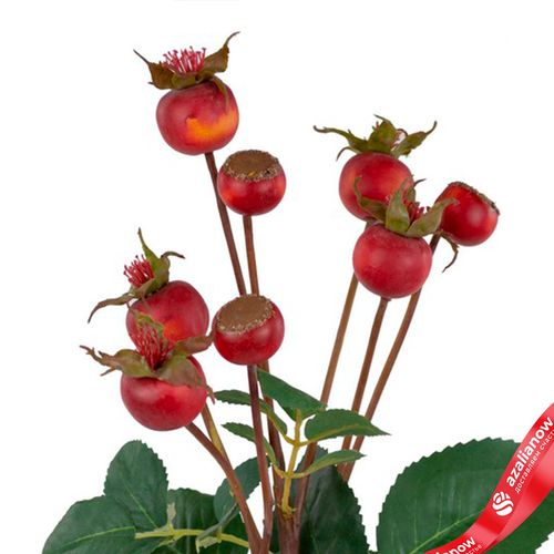 Фото 5: Шиповник искусственный (пластик), 56см, темно-оранжевый