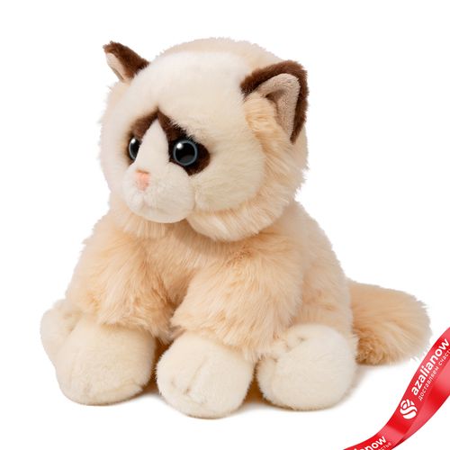 Игрушка м/н «Сиамская Кошечка», 25см, кремовый