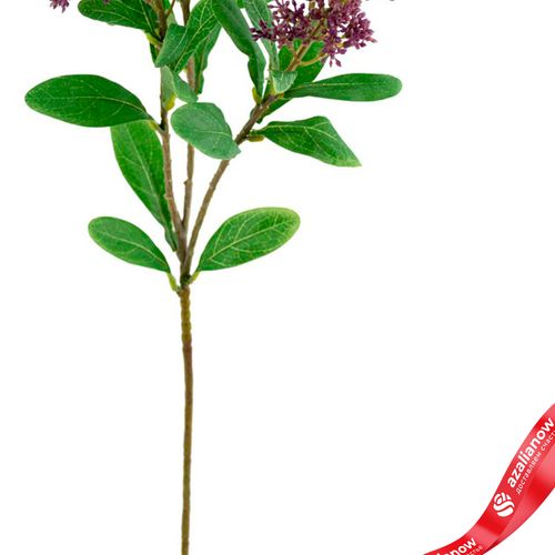 Фото 3: Скимия искусственная (пластик), 65см, фиолетовый