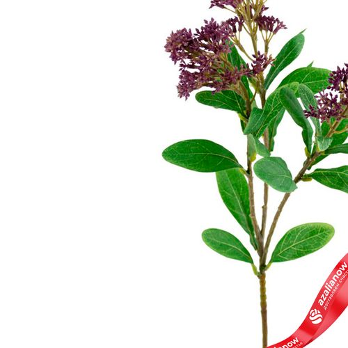 Фото 4: Скимия искусственная (пластик), 65см, фиолетовый