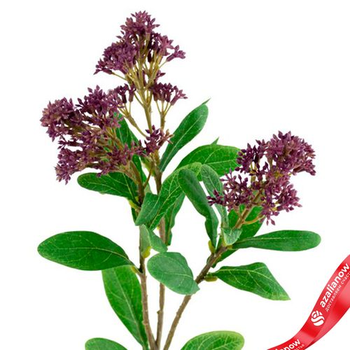 Фото 5: Скимия искусственная (пластик), 65см, фиолетовый