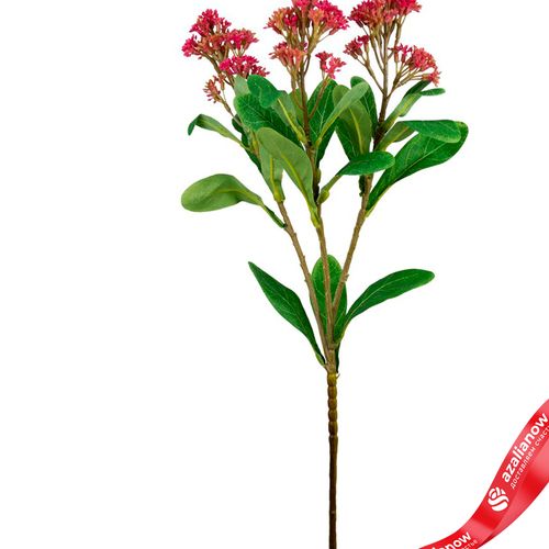 Фото 2: Скимия искусственная (пластик), 65см, розовый