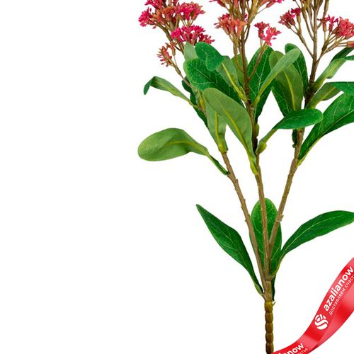 Фото 4: Скимия искусственная (пластик), 65см, розовый