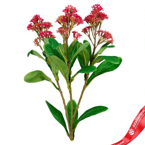 Фото 5: Скимия искусственная (пластик), 65см, розовый