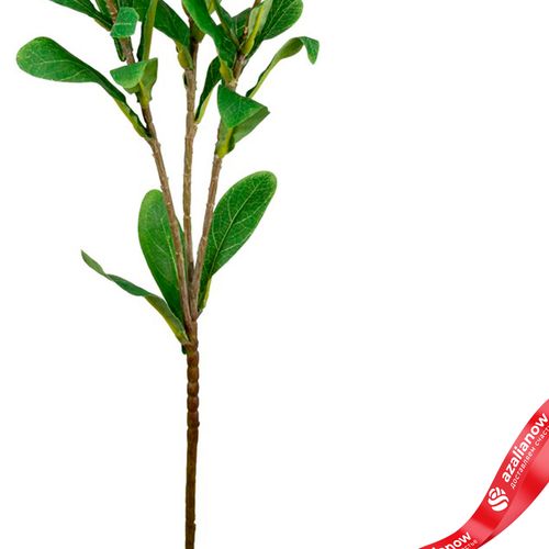 Фото 3: Скимия искусственная (пластик), 65см, желтый