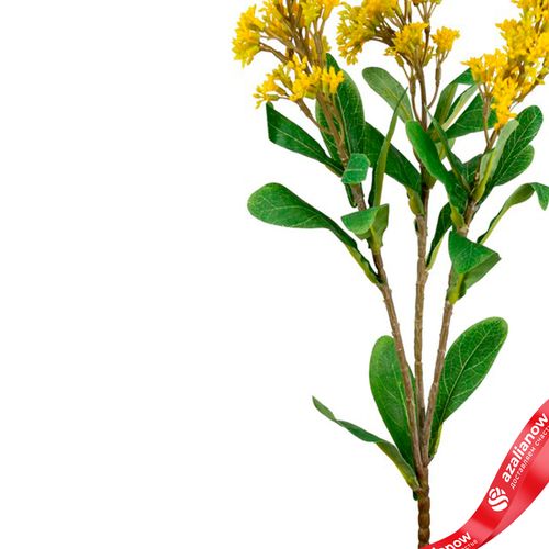 Фото 4: Скимия искусственная (пластик), 65см, желтый