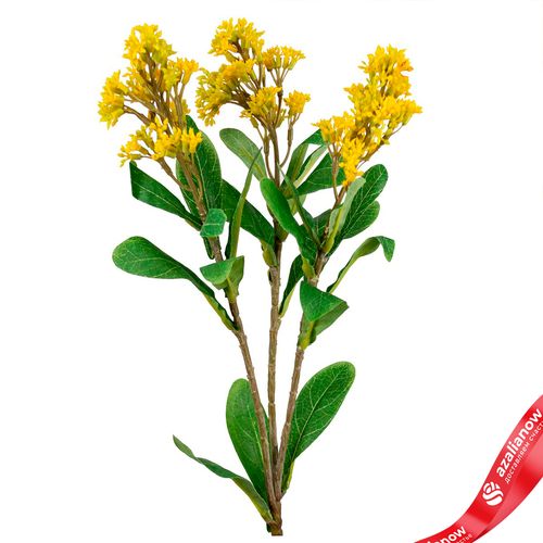 Фото 5: Скимия искусственная (пластик), 65см, желтый