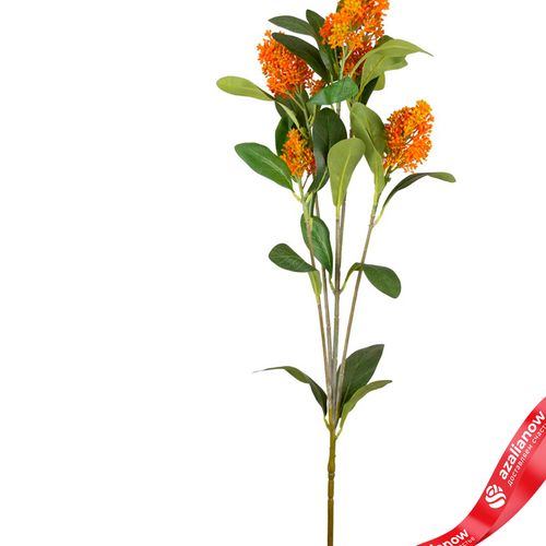 Фото 2: Скимия искусственная (пластик), 81см, оранжевый