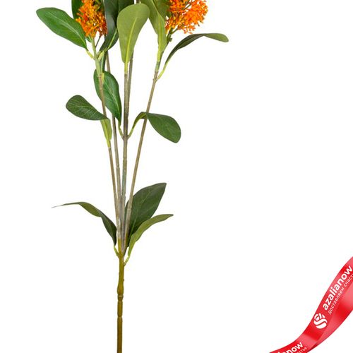 Фото 3: Скимия искусственная (пластик), 81см, оранжевый