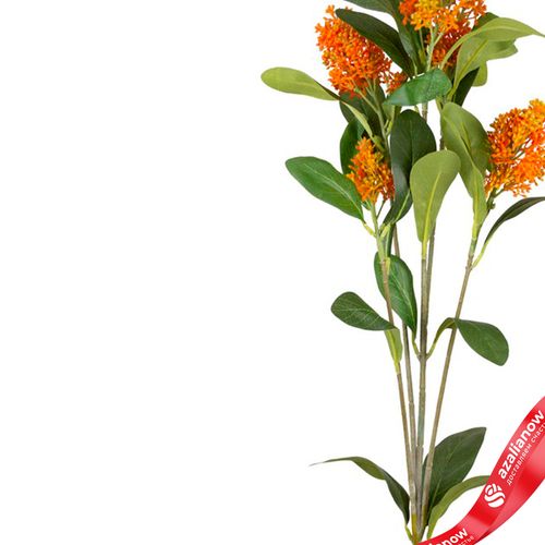 Фото 4: Скимия искусственная (пластик), 81см, оранжевый