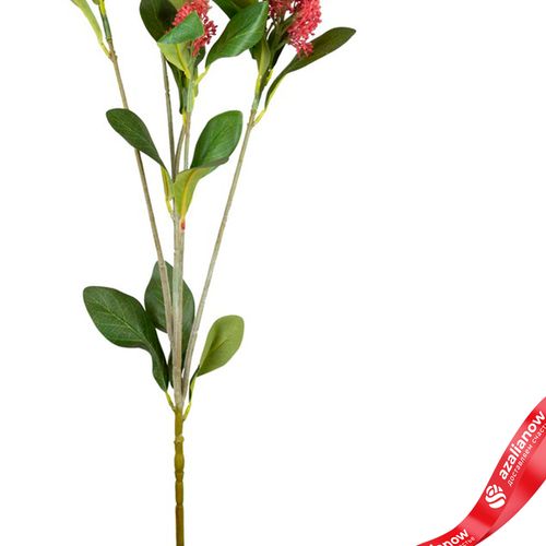 Фото 3: Скимия искусственная (пластик), 81см, розовый