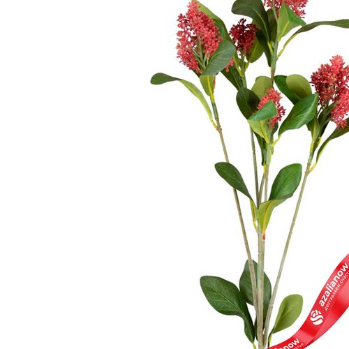 Фото 4: Скимия искусственная (пластик), 81см, розовый