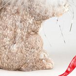 Маленькое фото 5: Сувенир «Белка» (полирезин), Н12,5х10,5х6,5см, серый