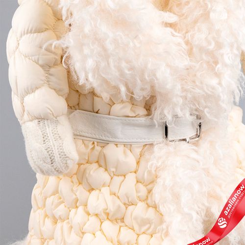 Фото 5: Сувенир «Лось Мальчик», Н48х31х19см, кремовый