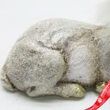 Маленькое фото 4: Сувенир «Олень лежащий» (полирезин), Н11х13х6,5см, шампань