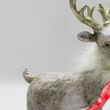 Маленькое фото 2: Сувенир «Олень» (полирезин), Н24,5х16х7,5см, шампань