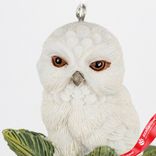 Маленькое фото 4: Украшение подвесное «Сова с шишками» (полирезин), Н6,5х5,5х4,5см, белый