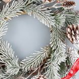 Маленькое фото 3: Венок еловый с шишками заснеженный, D40см, зеленый/белый