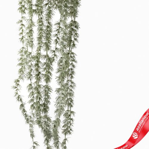 Фото 3: Венок подвесной сосновый, Н100хD17см, зеленый