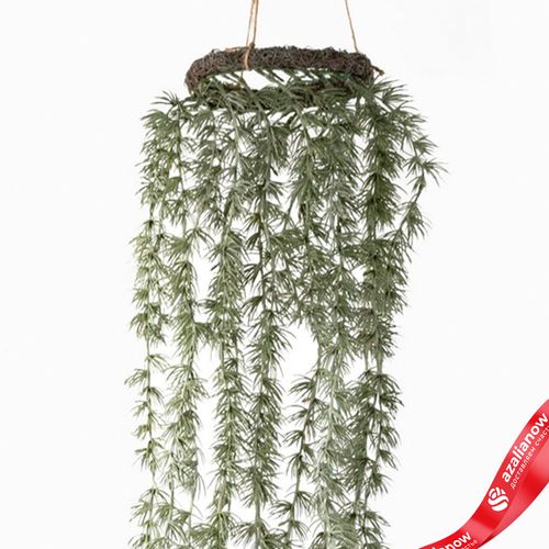 Фото 5: Венок подвесной сосновый, Н100хD17см, зеленый