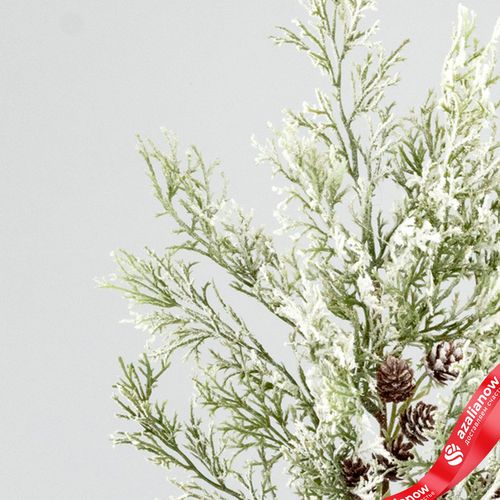 Фото 4: Ветка «Кипарис» с шишками заснеженная, 45см, зеленый