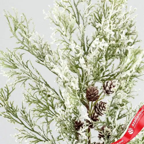 Фото 5: Ветка «Кипарис» с шишками заснеженная, 45см, зеленый