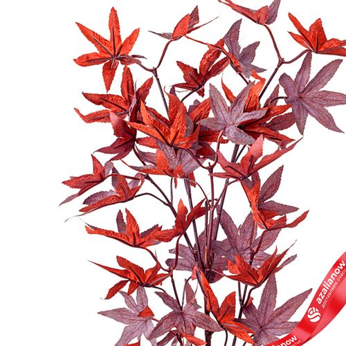 Фото 2: Ветка клена искусственная (пластик), 78см, бордовый